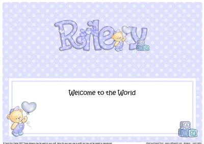 Large Dl Welcome to the World Riley Matching Insert