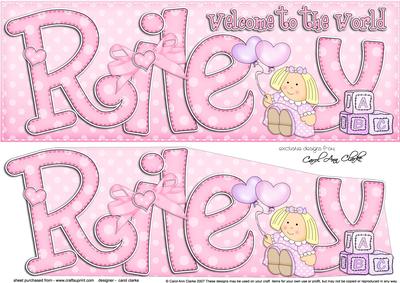 Large Dl Welcome to the World Riley Quick Card 3D Decoupage