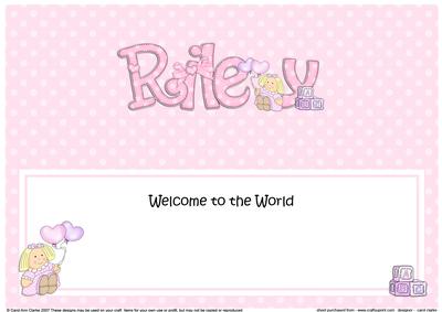Large Dl Welcome to the World Riley Matching Insert