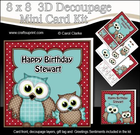 8x8 Birthday Stewart Little Hoot Owls 3D Decoupage