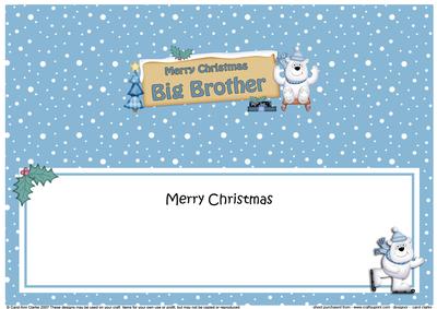 Lge Dl Xmas Big Brother Ben Polar Bear Insert