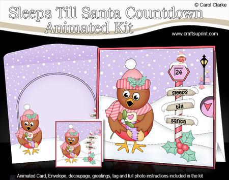 3D Xmas Cute Little Robin Sleeps Till Santa Animated Card