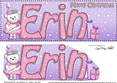 Large Dl Xmas Erin Teddy Tess 3D Decoupage