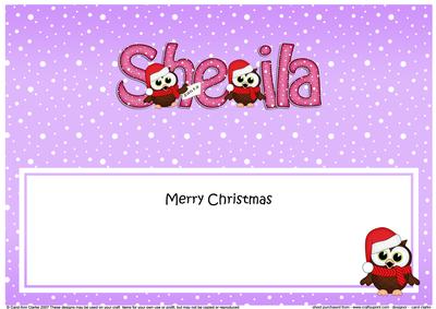 Large Dl Xmas Sheila Hoot Owl Matching Insert