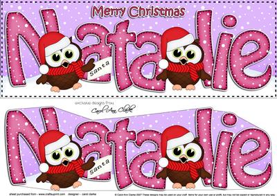 Large Dl Xmas Natalie Little Hoot Owl 3D Decoupage