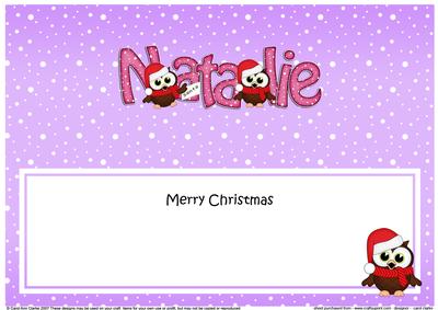 Large Dl Xmas Natalie Little Hoot Owl Matching Insert