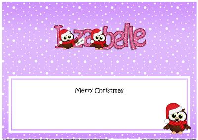 Large Dl Xmas Izabelle Little Hoot Owl Matching Insert