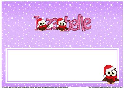 Large Dl Xmas Izabelle Little Hoot Owl Matching Insert