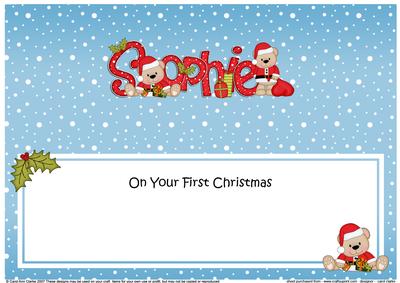 Large Dl 1st Xmas Sophie Livvy Bear Matching Insert