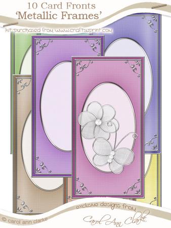 Dl 'silver Metallic Frame' Card Fronts Kit