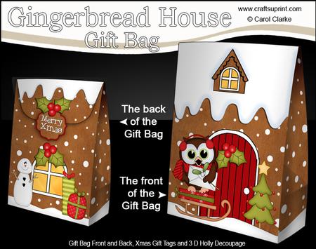 3D Xmas Little Hoot Owl Gingerbread House Gift Bag Mini Kit