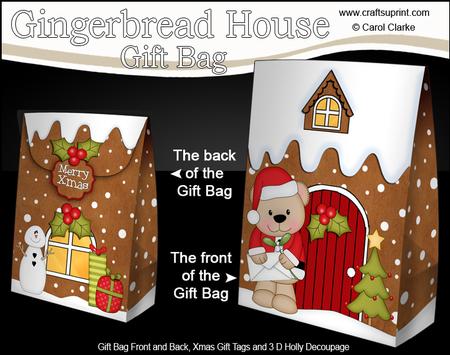 3D Xmas Livvy Bear Gingerbread House Gift Bag Mini Kit