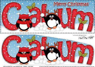 Large Dl Xmas Calum Pip Penguin 3D Decoupage