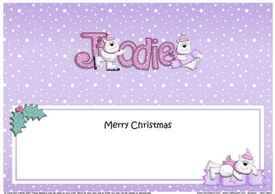 Large Dl Xmas Jodie Polar Bears Matching Insert