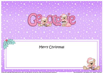 Large Dl Xmas Georgie Livvy Bear Matching Insert
