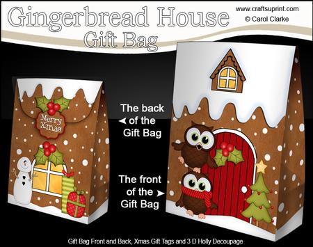 3D Xmas Little Hoot Owl Gingerbread House Gift Bag Mini Kit