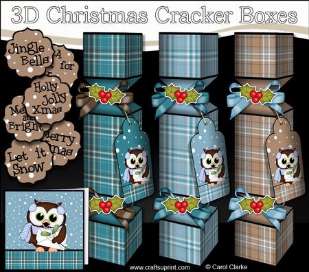 3D Little Hoot Owl Tartan Christmas Cracker Boxes