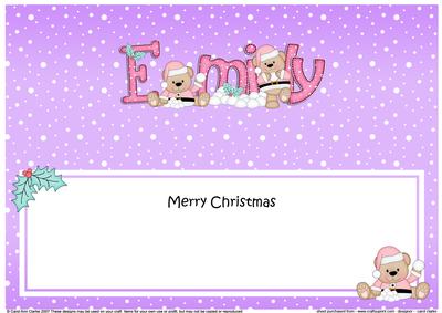 Large Dl Xmas Emily Livvy Bear Matching Insert