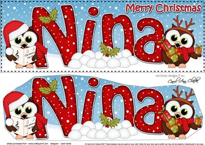 Large Dl Xmas Nina Little Hoot Owls 3D Decoupage