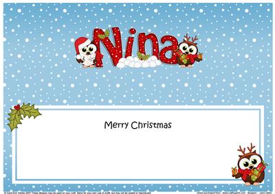 Large Dl Xmas Nina Little Hoot Owls Insert