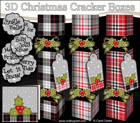 3D Tartan Christmas Holly Cracker Boxes