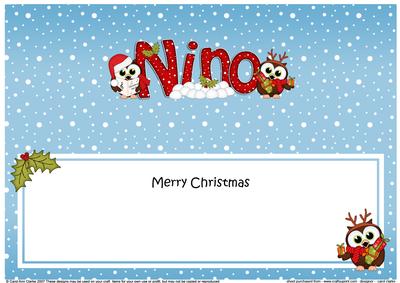 Large Dl Xmas Nino Little Hoot Owl Insert