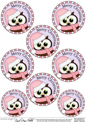 Xmas Little Hoot Owl Round Christmas Gift Tags