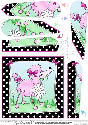Cute Little Poodle Quick Card with Fan Pyramage Topper