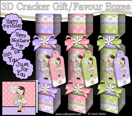 3D Girlz Suzi's Flower Cracker Gift Favour Boxes