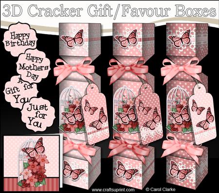 3D Viola's & Butterfly Birdcage Cracker Gift Favour Boxes