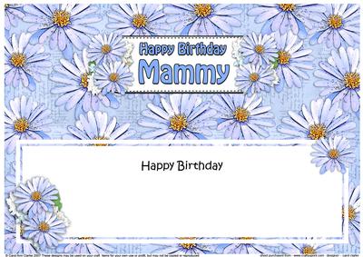 Large Dl Birthday Mammy Daisies Floral Matching Insert