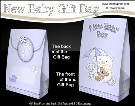 3D New Baby Boy Kitty Kat Gift Bag Mini Kit