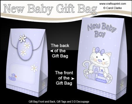 3D New Baby Boy Kitty Kat Gift Bag Mini Kit