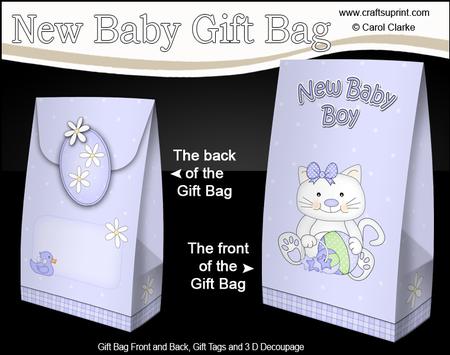 3D New Baby Boy Kitty Kat Gift Bag Mini Kit