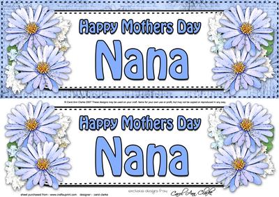 Large Dl Mothers Day Nana Daisies Floral 3D Decoupage