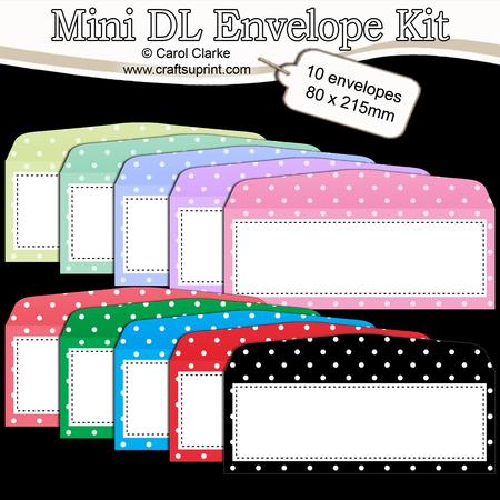 10 Mini Dl (80 x 215mm) Polka Dot Envelope Kit