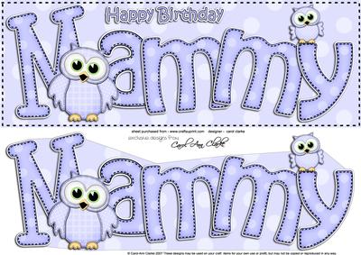 Large Dl Birthday Mammy Owls Quick Card & 3D Decoupage