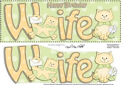 Large Dl Birthday Wife Cat Card & 3D Decoupage