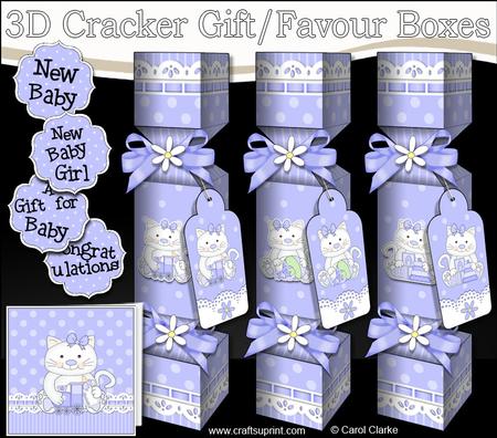 3D New Baby Boy Cracker Gift Favour Boxes