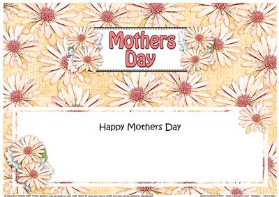 Large Dl Mothers Day Daisies Floral Matching Insert