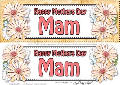 Large Dl Mothers Day Mam Daisies Floral 3D Decoupage