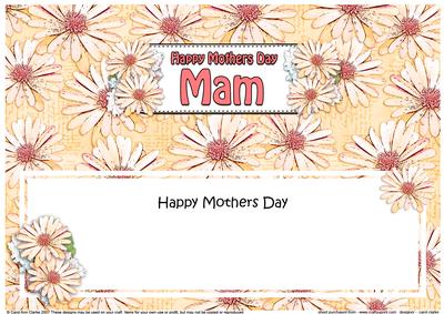 Large Dl Mothers Day Mam Daisies Floral Matching Insert