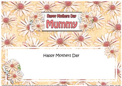 Large Dl Mothers Day Mummy Daisies Floral Matching Insert