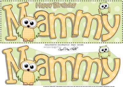Large Dl Birthday Mammy Owls Quick Card & 3D Decoupage
