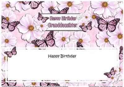 Large Dl Birthday Granddaughter Floral Butterflies Insert
