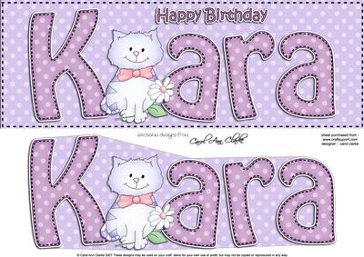 Large Dl Birthday Kara Cat Card & 3D Decoupage