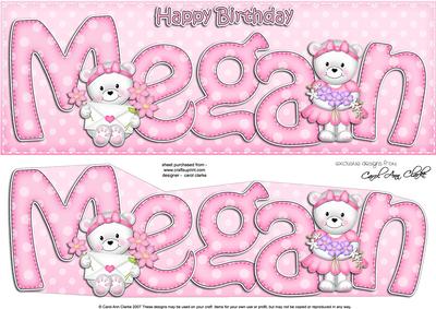 Large Dl Birthday Megan Teddies 3D Decoupage
