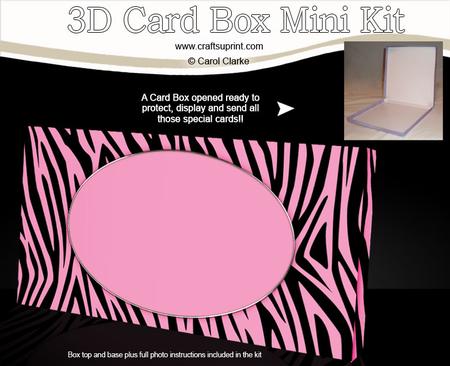 Zebra Stripes Dl Card Box Mini Kit