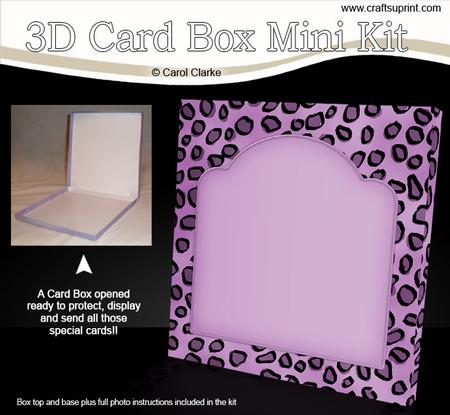 Animal Print 6 x 6 Square Card Box Mini Kit
