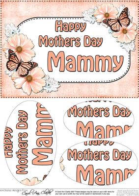 A5 Mothers Day Mammy Butterflies & Flowers Oval Pyramage Top